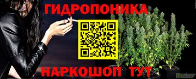 прущие крисы Волгодонск