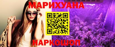 сатива Будённовск