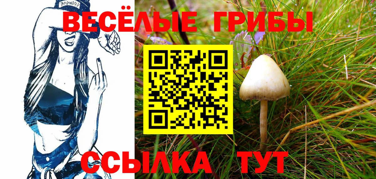 Псилоцибиновые грибы Psilocybe  Вход с VPN  Псилоцибиновые грибы Psilocybine cubensis  Приморско-Ахтарск 