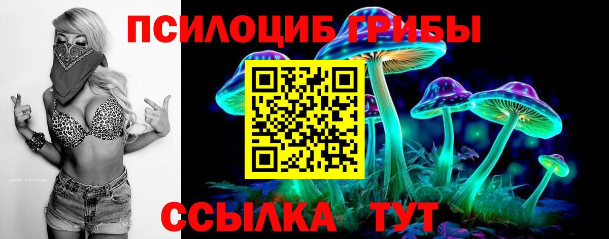 Галлюциногенные грибы GOLDEN TEACHER Приморско-Ахтарск